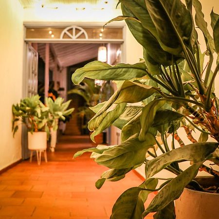 Aura Hotel Parque Barichara By Infinity 外观 照片