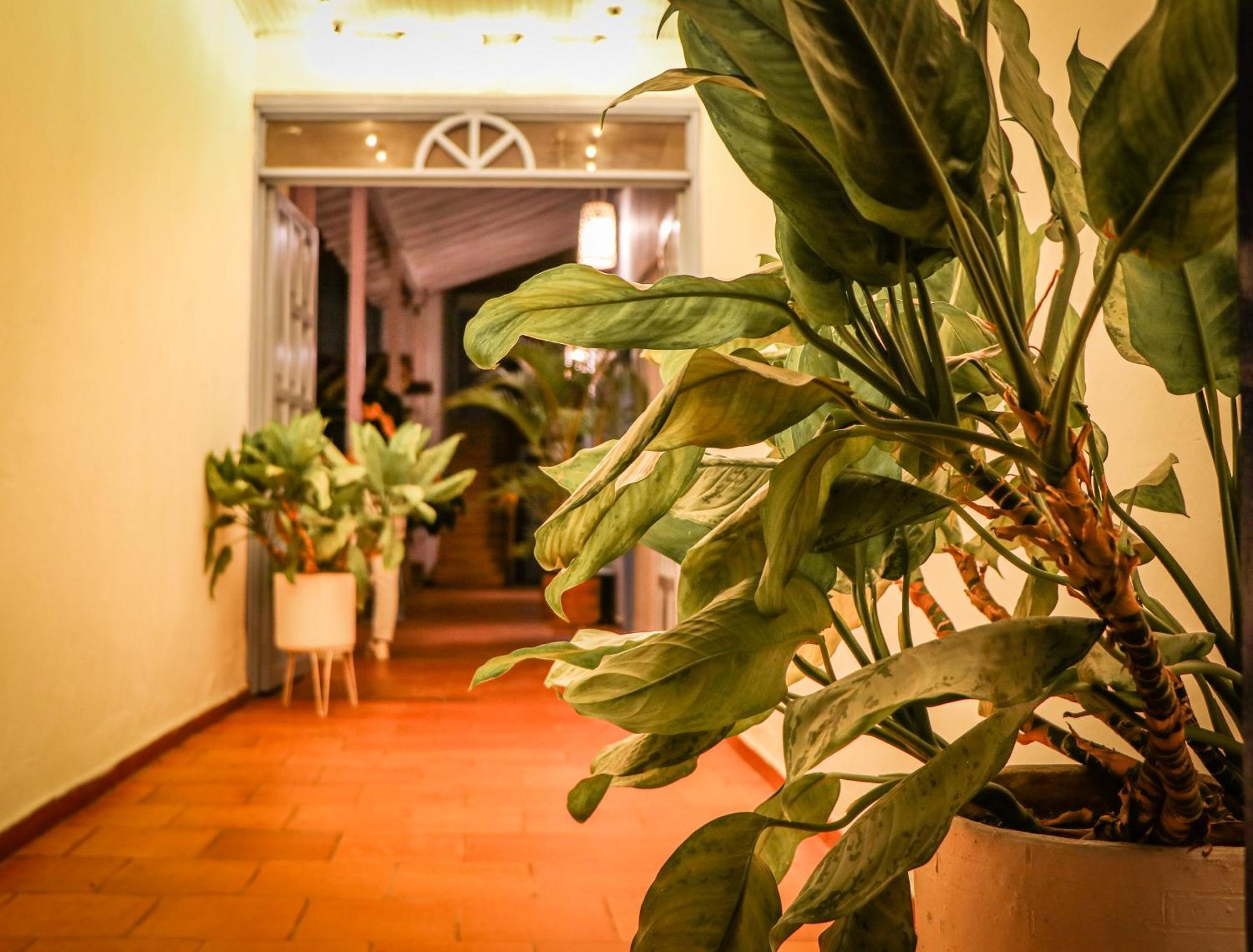 Aura Hotel Parque Barichara By Infinity 外观 照片